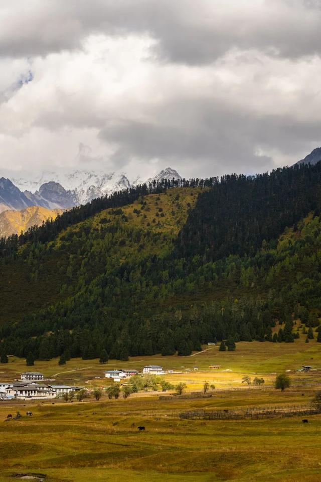 跟着“狐主任”游藏地