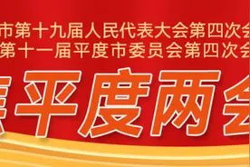 2024成绩单｜平度市在建亿元以上项目205个，十件33项民生实事扎实实施图片