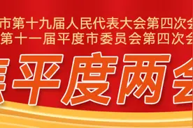 2024成绩单｜平度市在建亿元以上项目205个，十件33项民生实事扎实实施图片