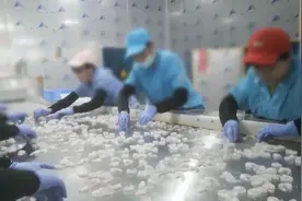 总台报道有反馈丨查封！关停！各地多部门连夜查处3·15曝光问题图片