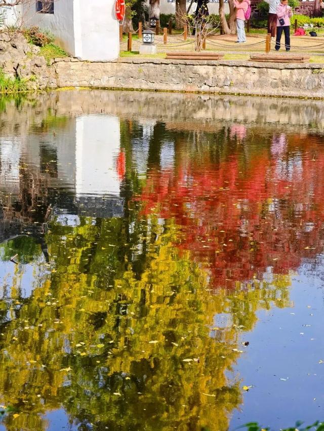 秋日特调！南京“西红柿炒蛋”皮肤已限时上线！