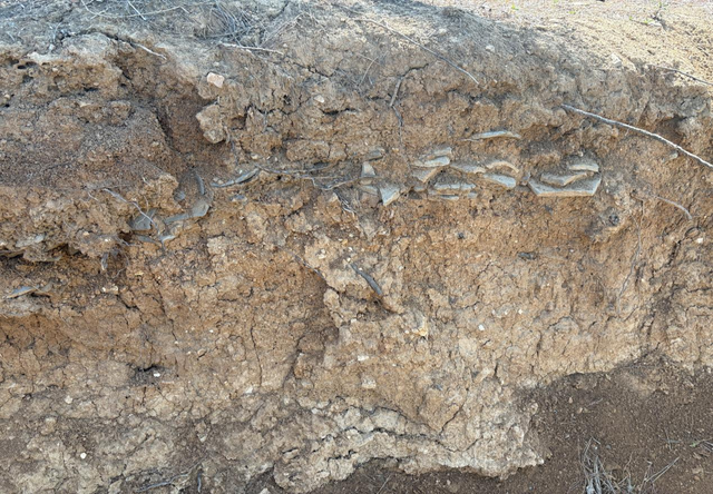 泰山景区顺利完成四普调查