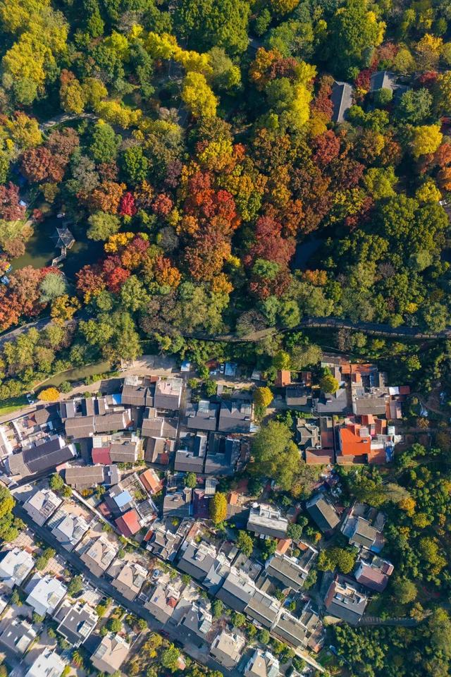 被低估的山水之城，太宝藏了！