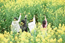 机票平均价格较春节期间下降了三成，错峰旅游咨询量增长明显图片