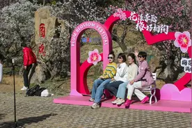 影友佳作：花漾春日，梅好相约！图片