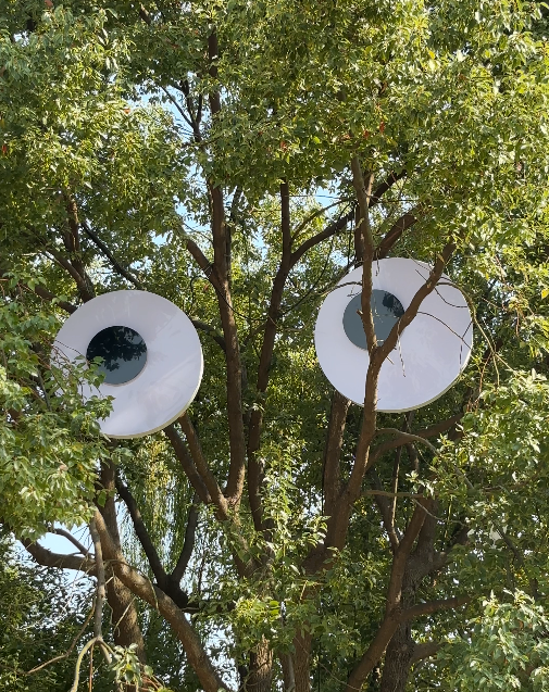 嘿，抬头！鸠江一公园，大树竟然长出“笑脸”了！