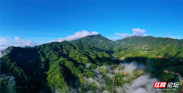 【每日一图@湖南】青娥山晨雾漫卷，定格天地间水墨丹青