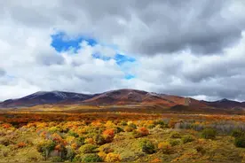 四季旅行·印象内蒙古｜巴林右旗：金秋盛景 五彩画卷图片