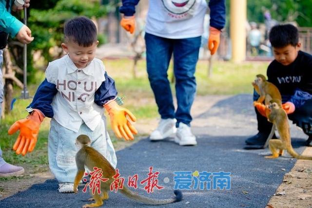雨中庆华诞 服务铸匠心 济南野生动物世界奏响文旅高质量发展强音