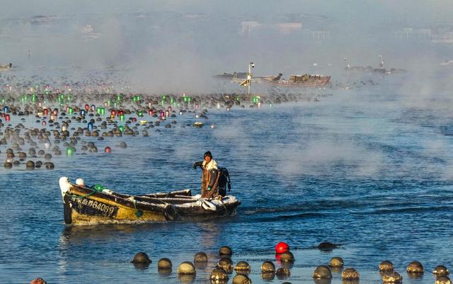 绝美！雪后荣成海湾上演“海浩”盛景