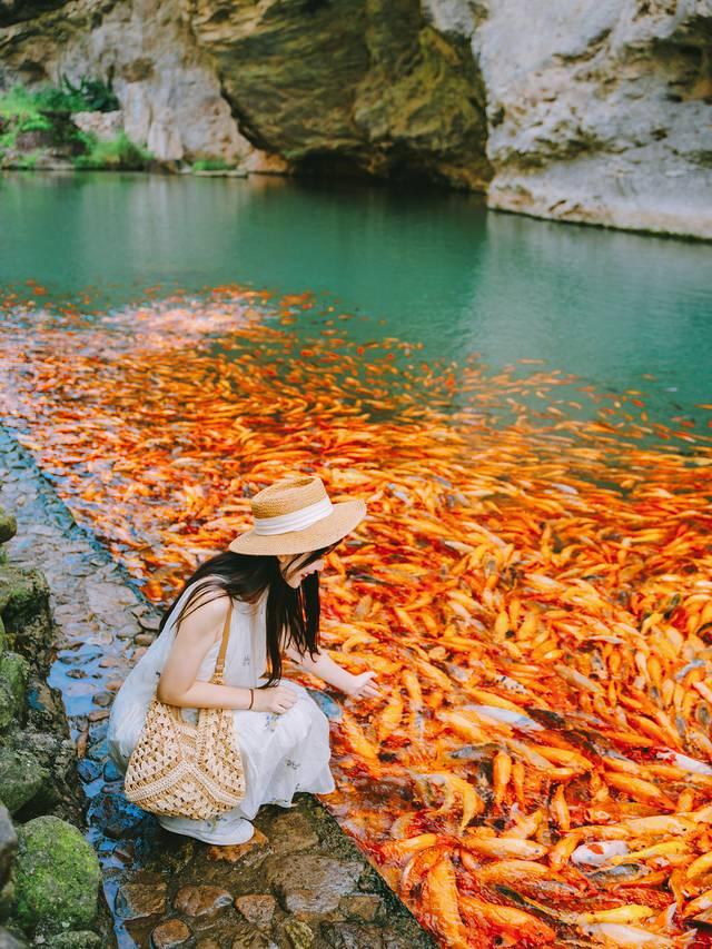 逃离酷暑，我在温州清凉一夏