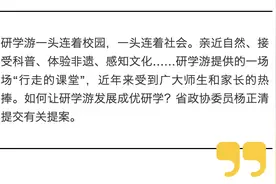 提案进行时｜杨正清委员：既要研学游 更要研学“优”图片