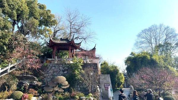 最新公园赏梅地图发布，武汉116座公园可赏梅花