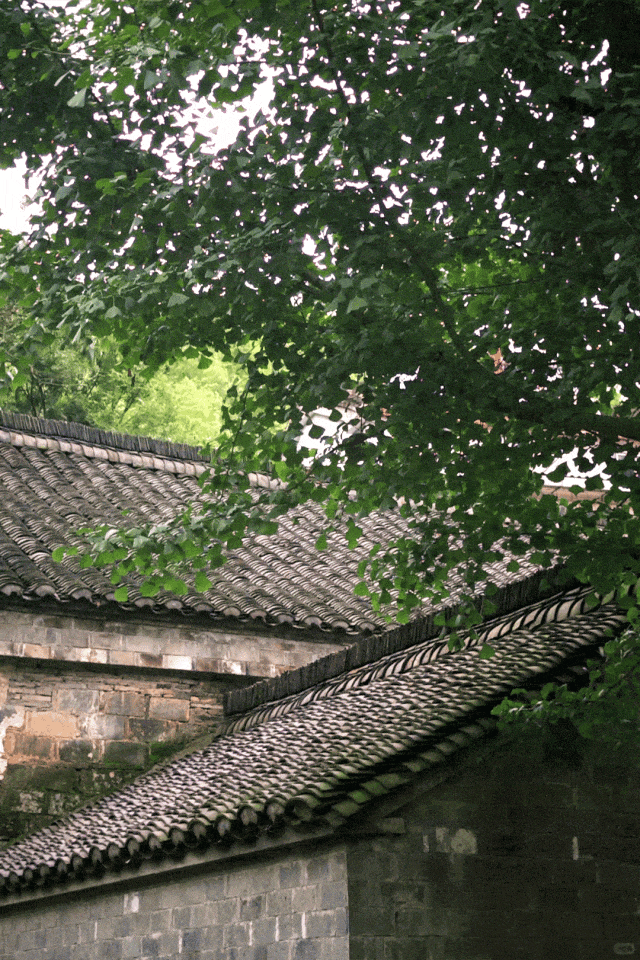 来一波常州清凉图，给眼睛“降降温”！