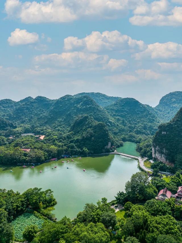 初冬的风里竟有了粉色的“味道”！就在龙潭公园里~