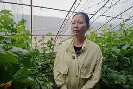 铸牢共同体 中华一家亲｜“帮助更多人过上好日子”——她用行动践行诺言图片