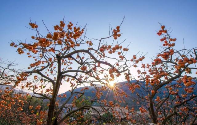 周末不忙，来趟平乐