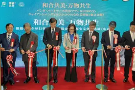 跨越半个世纪的熊猫情缘   中日“双宝”文化展东京揭幕图片