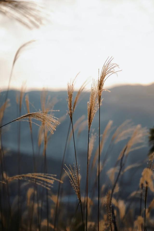 属于福安人的第一场“雪”来了！