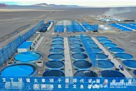 温差63°C 看冷水三文鱼畅游中国“热极”图片