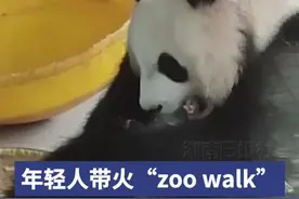 年轻人带火“zoo walk”，动物园成情绪治愈所图片