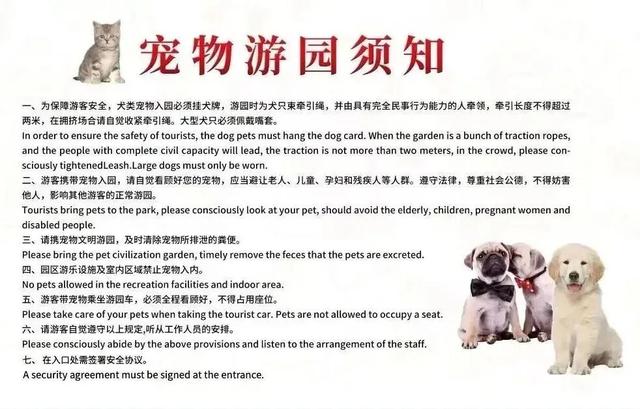 域见上海·域见奉贤｜冬春之交顶流花神C位出道！海湾国家森林公园梅花节定档大年初一