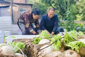 以产业振兴助力乡村振兴 巴南界石镇高质量发展带动村民增收图片