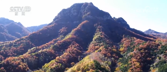 “斑斓秋色+新潮玩法”点燃赏秋游新热力 文旅新消费活力十足
