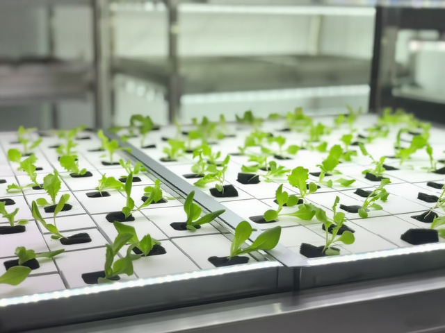 平谷“空中苗圃”科技小院有了“零碳植物工厂	”认证