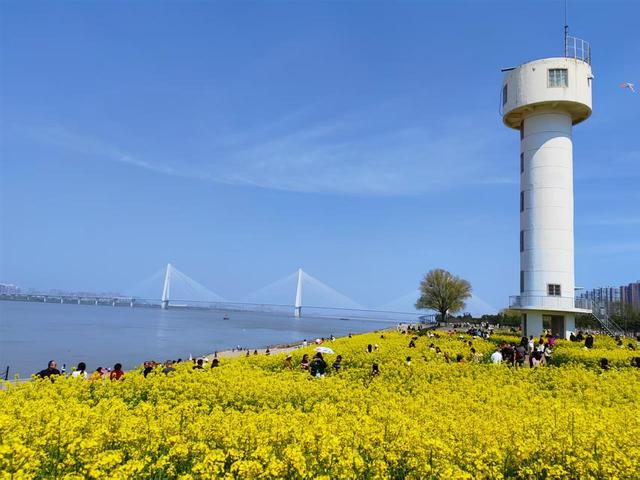 花开四季扮靓城市环线，古城武昌变身“花都”