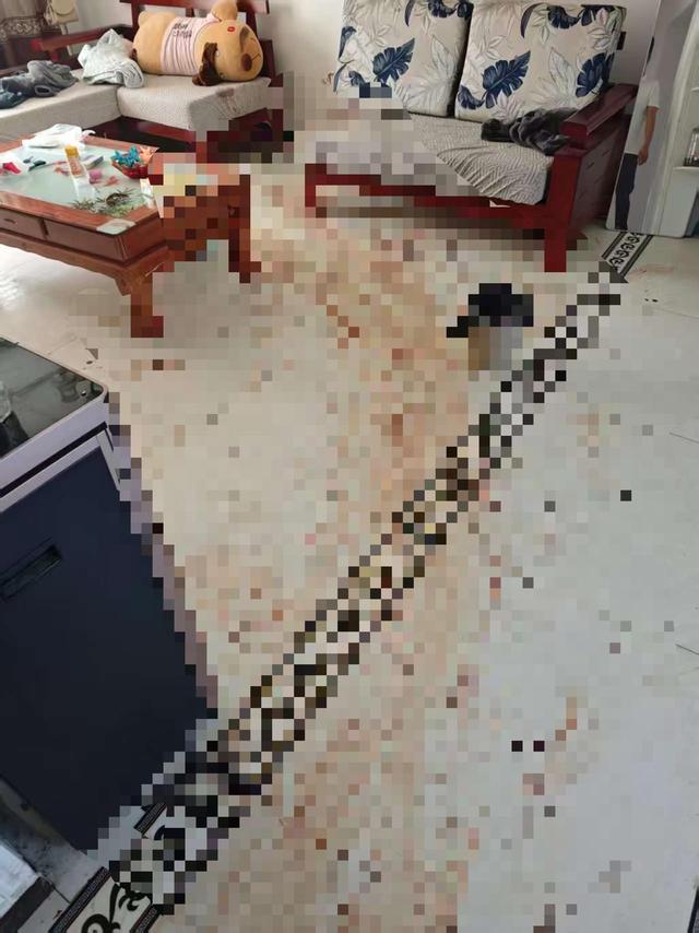 “46岁女子出租屋遭男友持刀杀害”案明日开庭，家属发声：凶手从未道歉，我们不会谅解