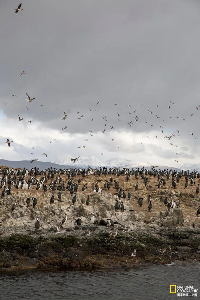 地球两端的“镜像之城”：一座最北一座最南，惊人相似