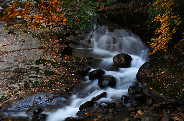 余先怀专栏｜秋染十八月潭
