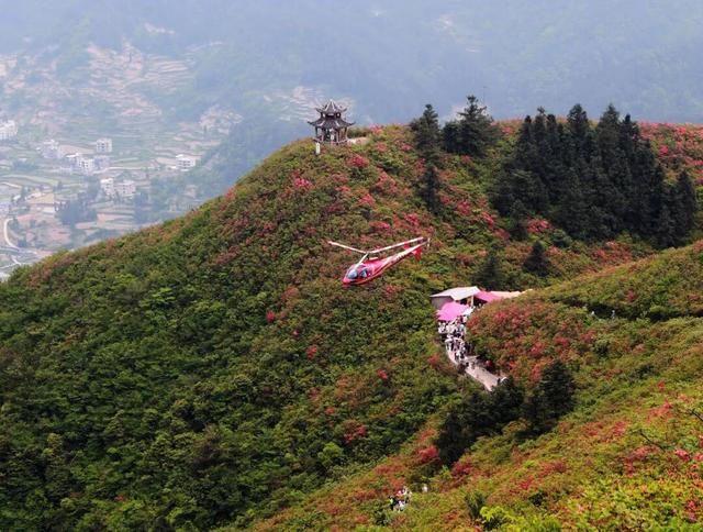 景区联动系列报道（一）｜擘画新篇：景区联动改革引领旅游产业提质升级