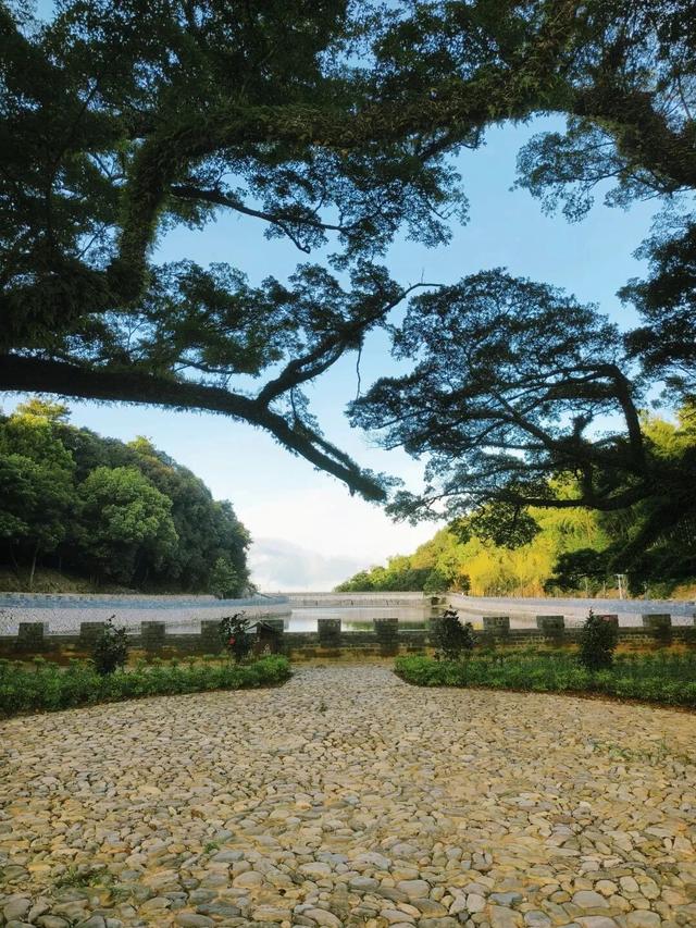 福鼎，一座为浪漫而生的城市！这些打卡地，你去过几个？
