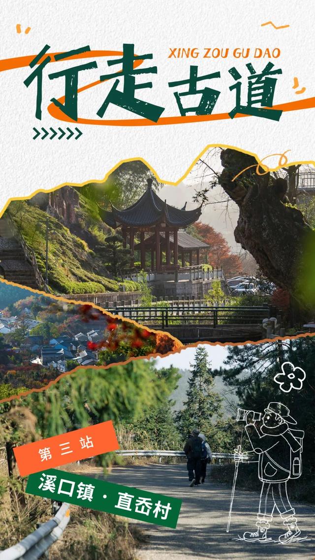 Hi走奉化③ | 拿下最高峰！蜘蛛岭古道虽累，但这秋色值了！