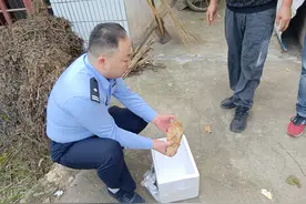 村民在菜地挖出“铁疙瘩”，发现是炮弹后报警图片