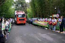 三只归国大熊猫将于26日在雅安首次公开亮相图片