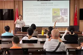 蜗牛为什么白天睡懒觉？孩子们和蜗牛来了场奇遇记～图片
