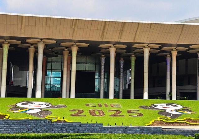 进博会期间，浦东空港通关攻略来了！