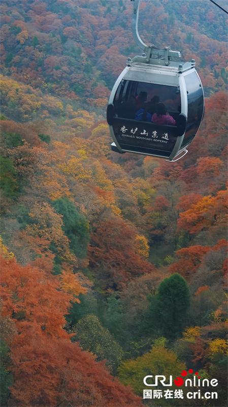 台湾自媒体人点赞四川光雾山绝美秋色（两岸关系）