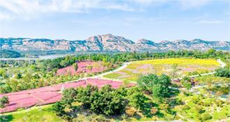 霜降时节 秋色撩人