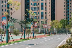 武汉市黄陂区横店街道实验学校：清风扬尚品 廉韵润校园图片