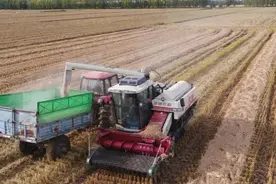 购买新机报废旧机都有补贴，江苏真金白银支持农业机械更新换代图片