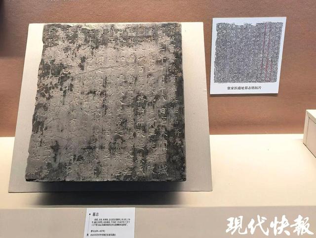 元旦假期苏州考古博物馆开放夜场！苏州城市考古展厅焕新亮相