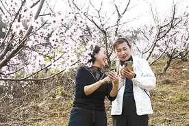 定格美好瞬间 共赏春色之美图片