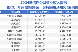 能源系信托公司领跑2024 江苏信托净利润超中信信托图片