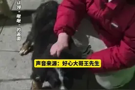好心大哥讲述喂流浪狗意外发现“啾啾”的细节，一开始以为它也是流浪狗，发现脖子上有狗绳才反应过来是“啾啾”，“这事完全是巧合，多做好事，这个总没错的 ”图片