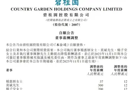 重磅！碧桂园4名高管主动降薪，杨惠妍等年薪降至12万，此前称家族会“砸锅卖铁”支持公司图片
