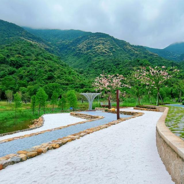 宜居深圳丨绿意坪山，解锁深圳人的理想宜居生活